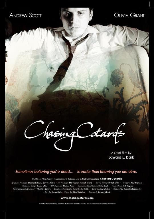 一夜迷情影视海报