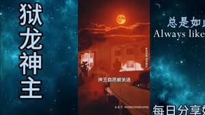 长泽梓全部作品在线影视海报