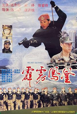 japanesemom毋孑乱xh影视海报