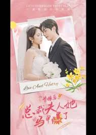 大过年电视剧影视海报