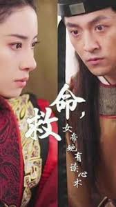 家事如天影视海报