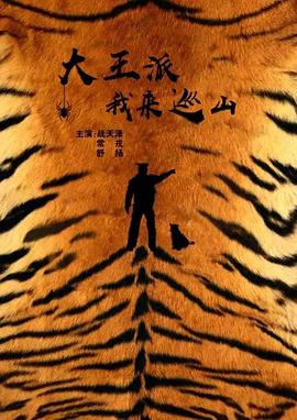 龙巡天下影视海报