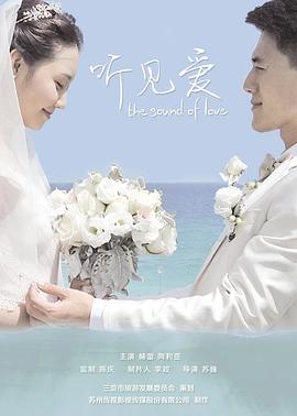 2034海贼王动画系列影视海报