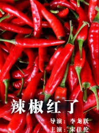 反派自救系统88番外肉影视海报