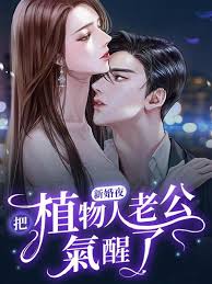 大西瓜pro视频永久地址v1影视海报