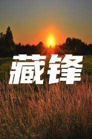 421哪里可以看影视海报