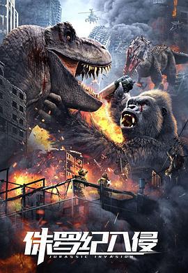 岁月忽已暮影视海报