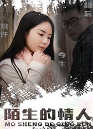 天龙奇侠影视海报