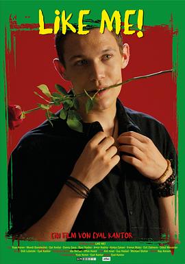 顽石之拳影视海报