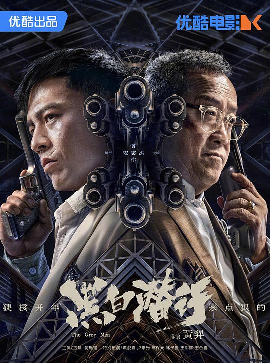 卧底警花林欣儿黑龙影视海报