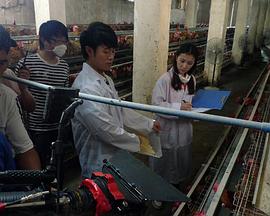 韩国理论电影2019影视海报