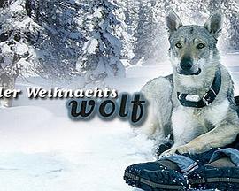 逆袭之星途璀免费观看影视海报