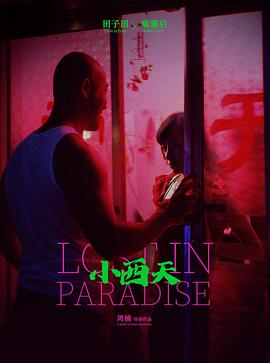 木府风云全集完整版影视海报