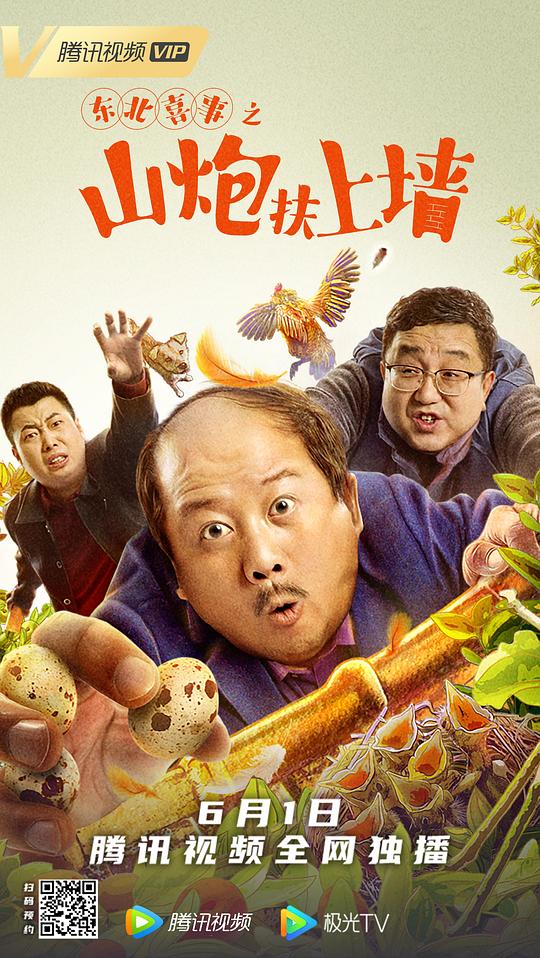 中国色谱网影视海报