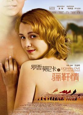 大明风华影视海报