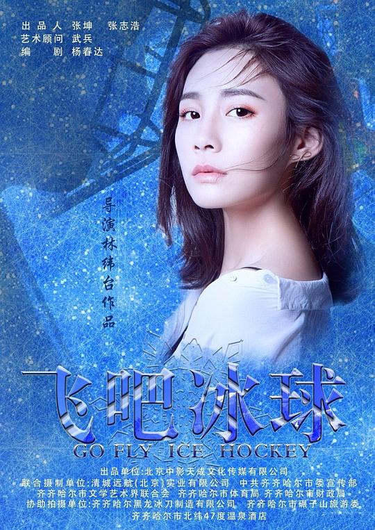 大刺客国语版全集影视海报