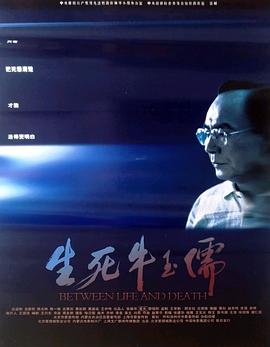 隐形的翅膀电视剧影视海报