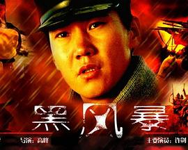 昼颜未删减版电影天堂影视海报