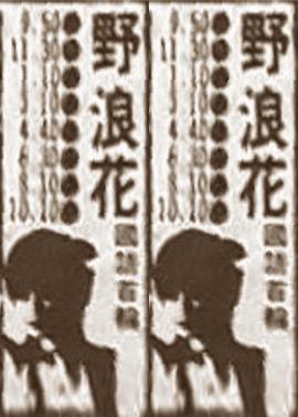 美女露影视海报