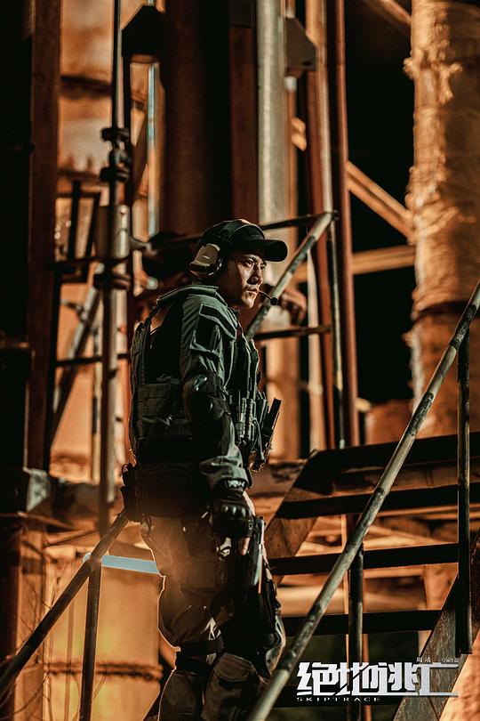 夫人电影影视海报