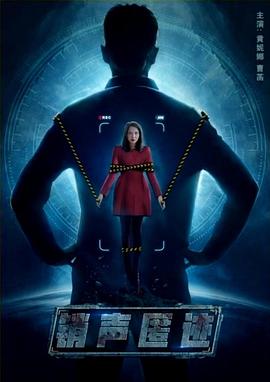 萨拉丁影视海报