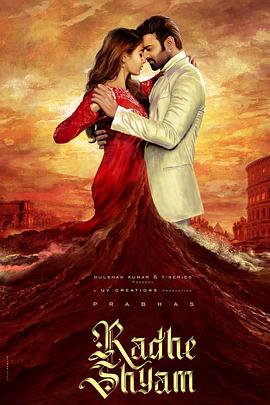 大商道 电视剧在线观看影视海报