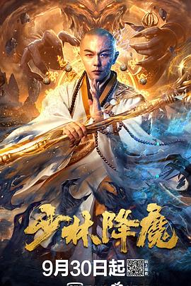 小鸡萌队影视海报