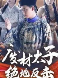 白发 电视剧影视海报