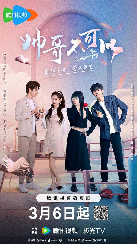 这个警察不太冷影视海报