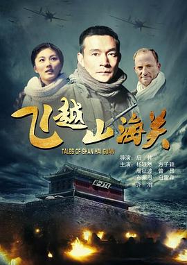 侵犯影视海报