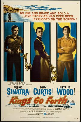 民国奇探影视海报