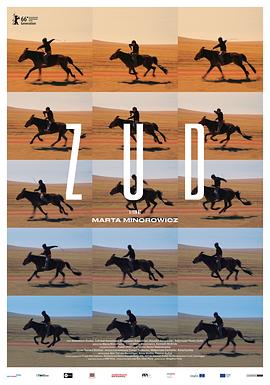 135zy在线观看影视海报