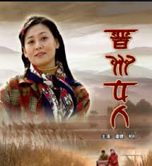 傻春电视剧影视海报