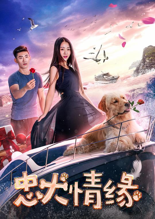 中餐厅第三季在线观看影视海报