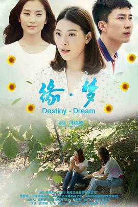 国产手机视频大全影视海报