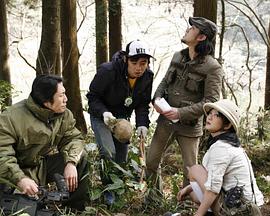 手机小视频国产影视海报