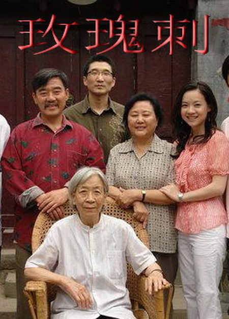 真爱谎言破冰者影视海报