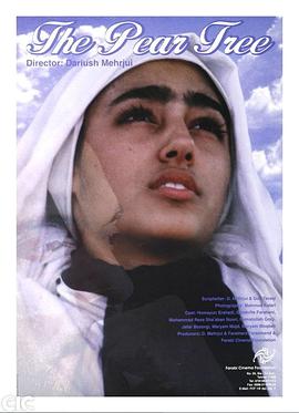 张柔谢娜和大狼狗小说影视海报