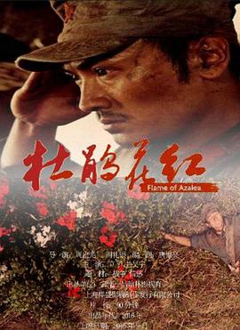 竹夫人电影在线看到影视海报