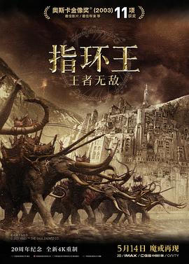 碧血长天影视海报