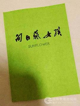 霍水的混乱生活28章影视海报