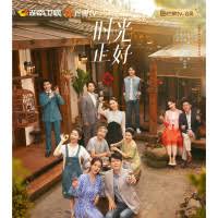 最美丽的青春影视海报