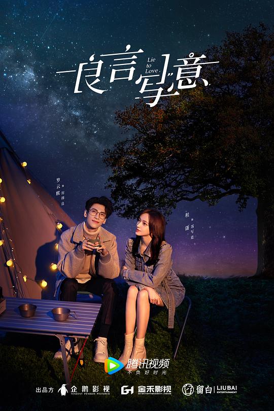 电视剧泪洒女人花影视海报