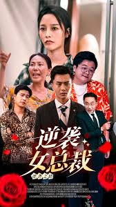 副总统第一季影视海报