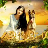 任我橾在线观看视频影视海报