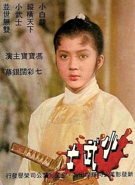 飞行幼乐园全集影视海报