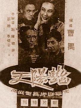 一代宗师在线观看影视海报