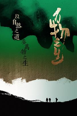 第四色在线影视海报