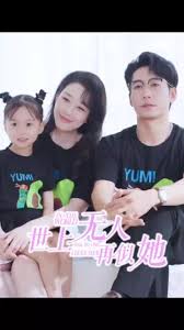 贵妇人影视海报