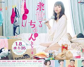 假装情侣怎么没了影视海报